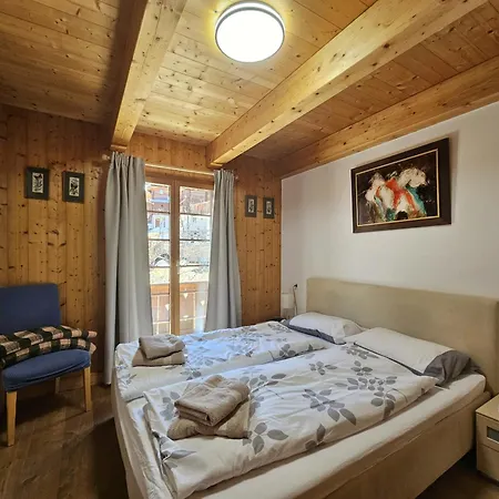 Mountain Village 11 شاليه Saas Fee